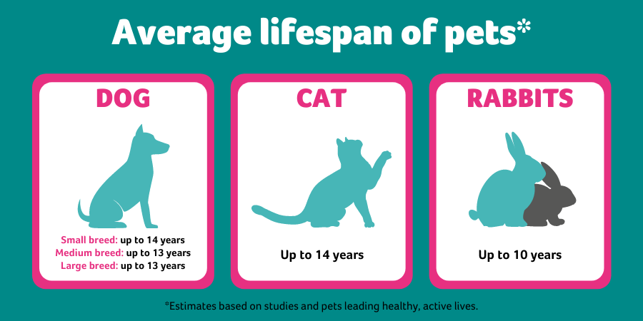 How Long Do Pets Live PDSA