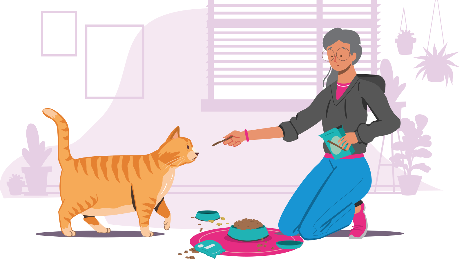 How to treat your cat - PDSA