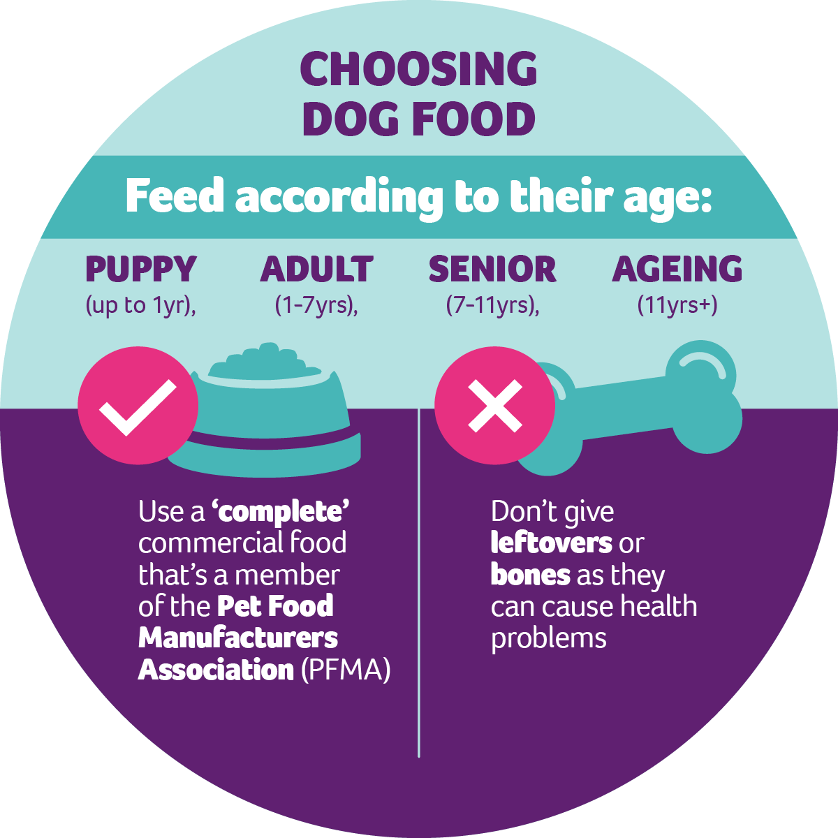 What To Feed Your Dog - PDSA