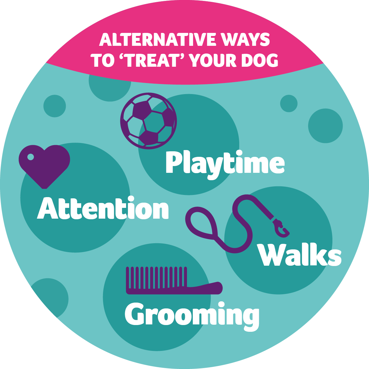 How to treat your dog - PDSA 