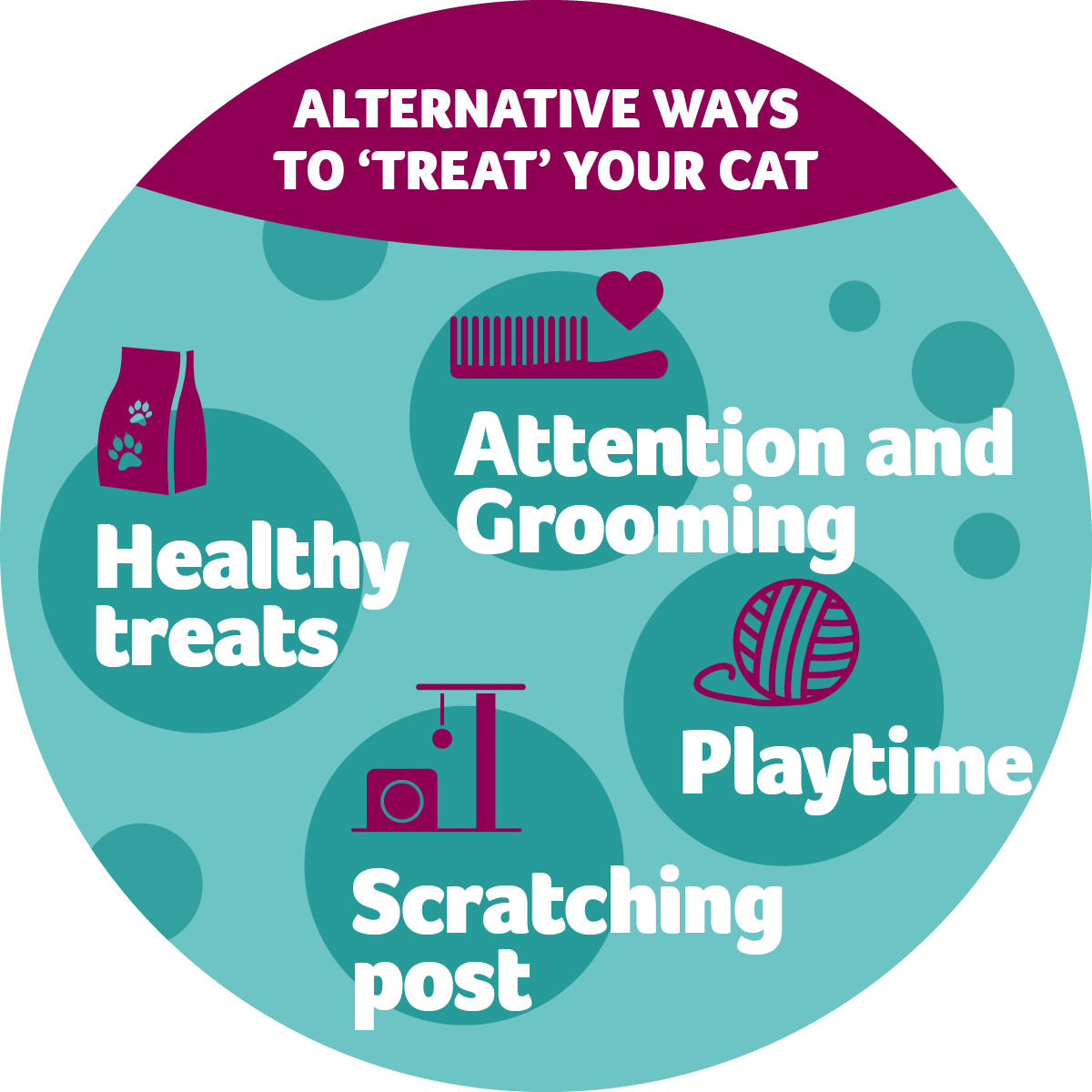 how-to-treat-your-cat-pdsa