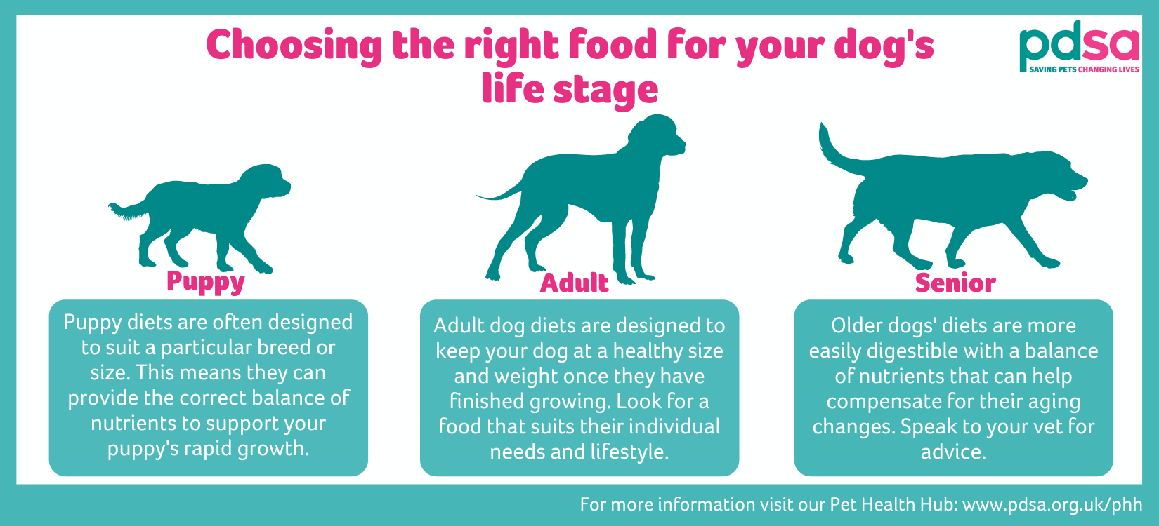 https://www.pdsa.org.uk/media/12026/pdsa-choosing-the-right-diet-for-your-dogs-life-stage-infographicpng.png