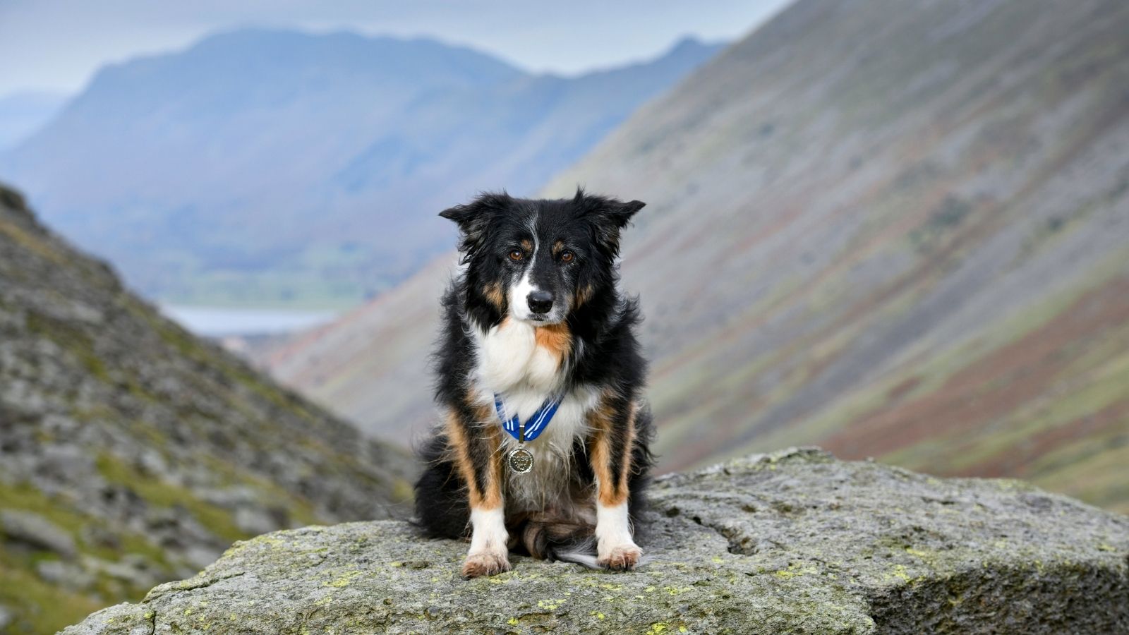 Mountain Rescue