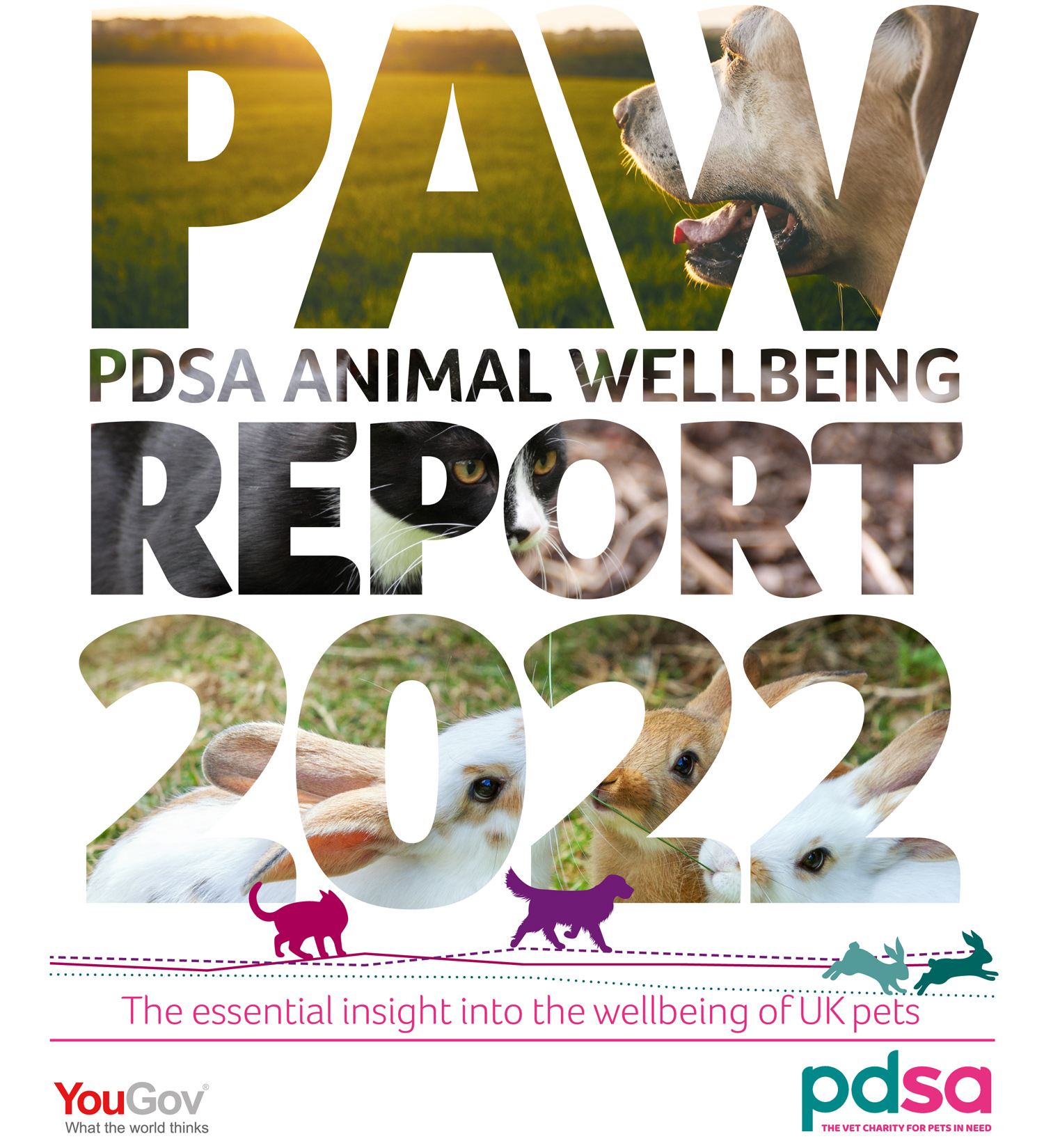 Paw Report Pdsa