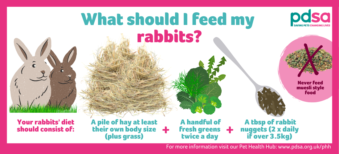 Rabbit Food for Dogs  