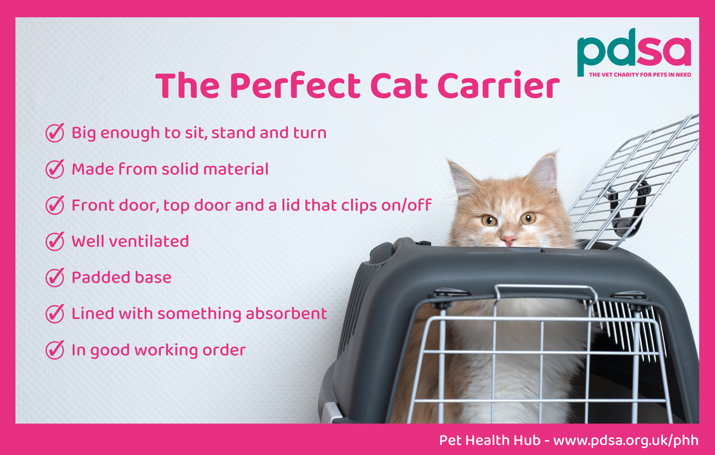 https://www.pdsa.org.uk/media/13363/the-perfect-cat-carrier-1.png