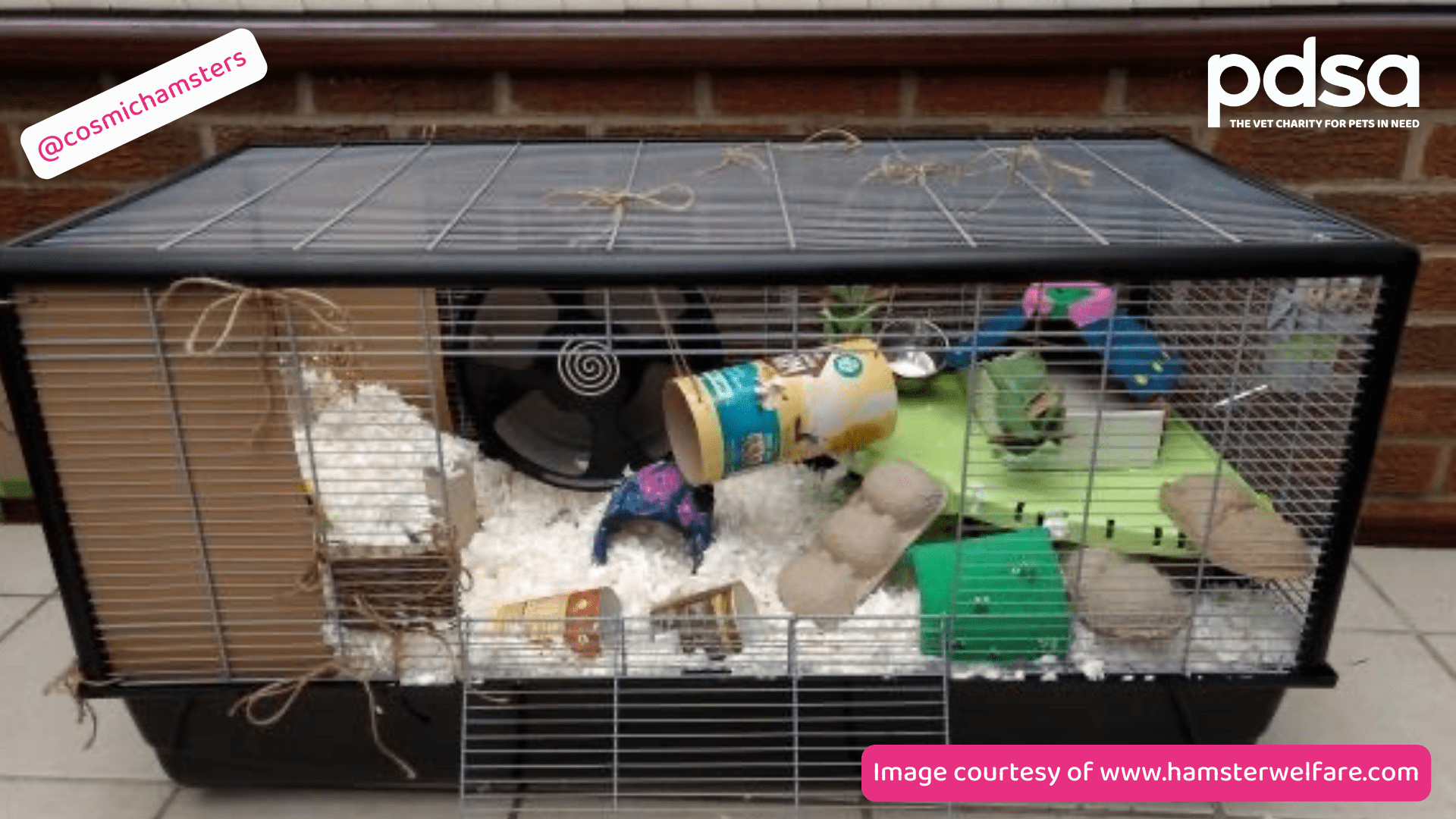 Multi-level hamster cage example