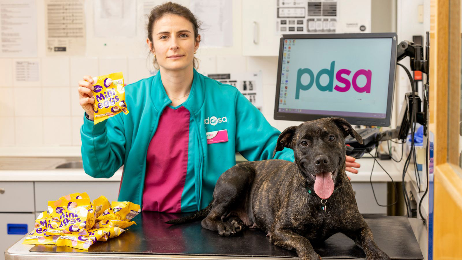 Pdsa vet hot sale care