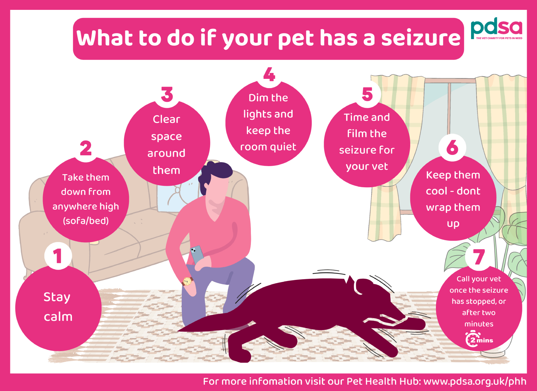 What to do if your pet has a seizure - PDSA