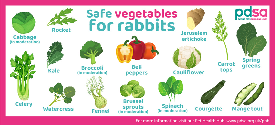 An infographic displaying the vegetables safe for rabbits to eat