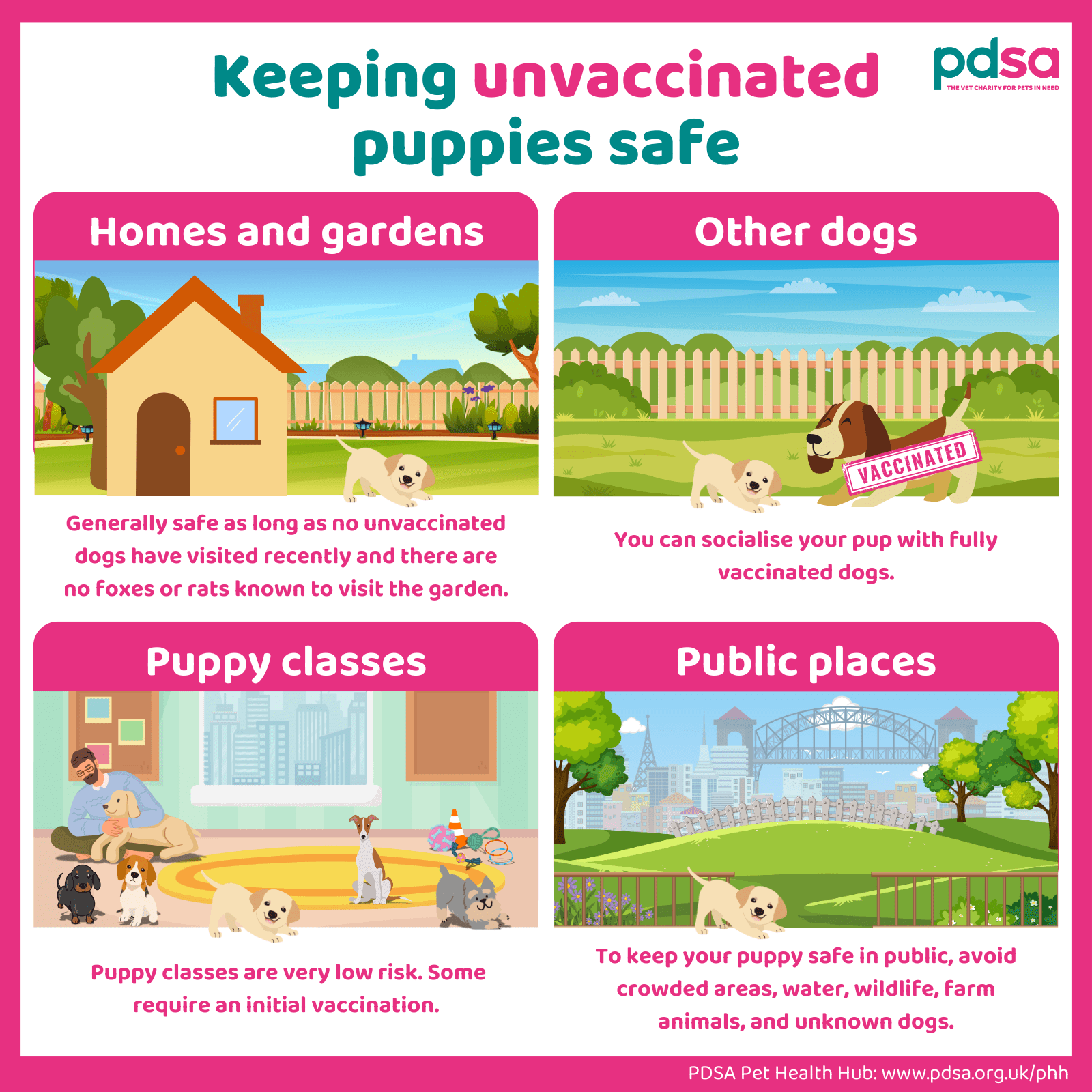 An infographic detailing how to keep unvaccinated puppies safe in homes and gardens, puppy classes, public places and with other dogs.