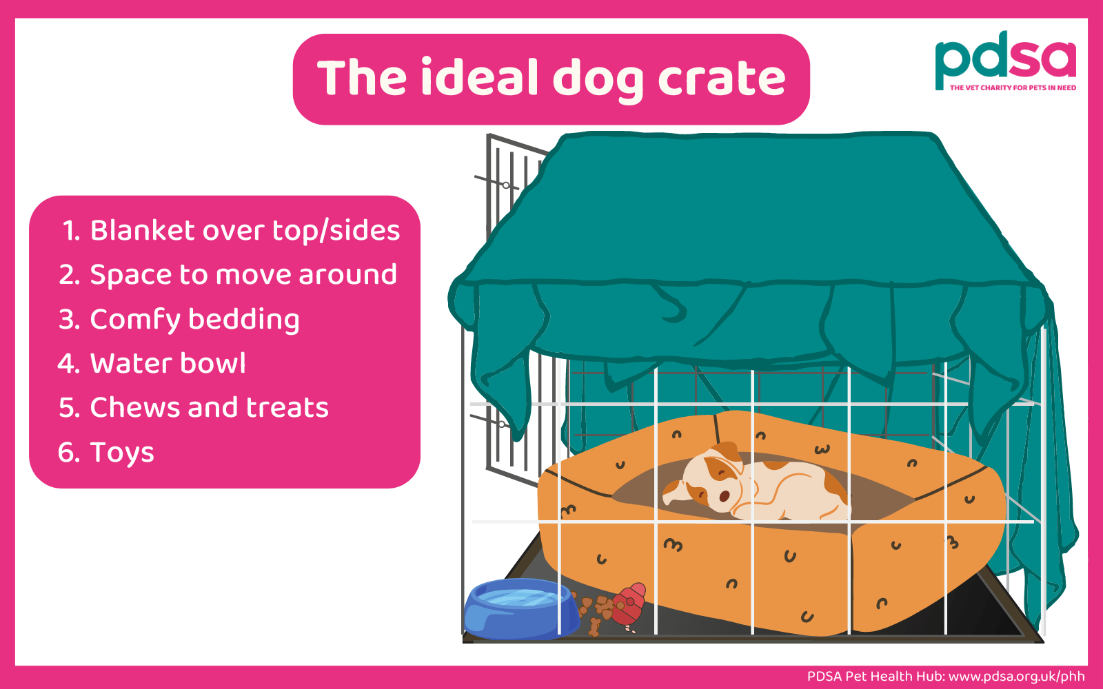 Crate training your dog PDSA