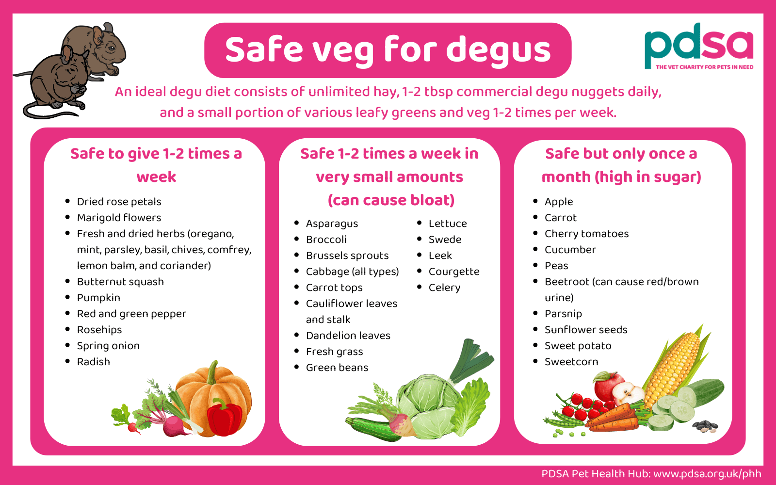 An infographic detailing safe fruit and vegetables for degus.