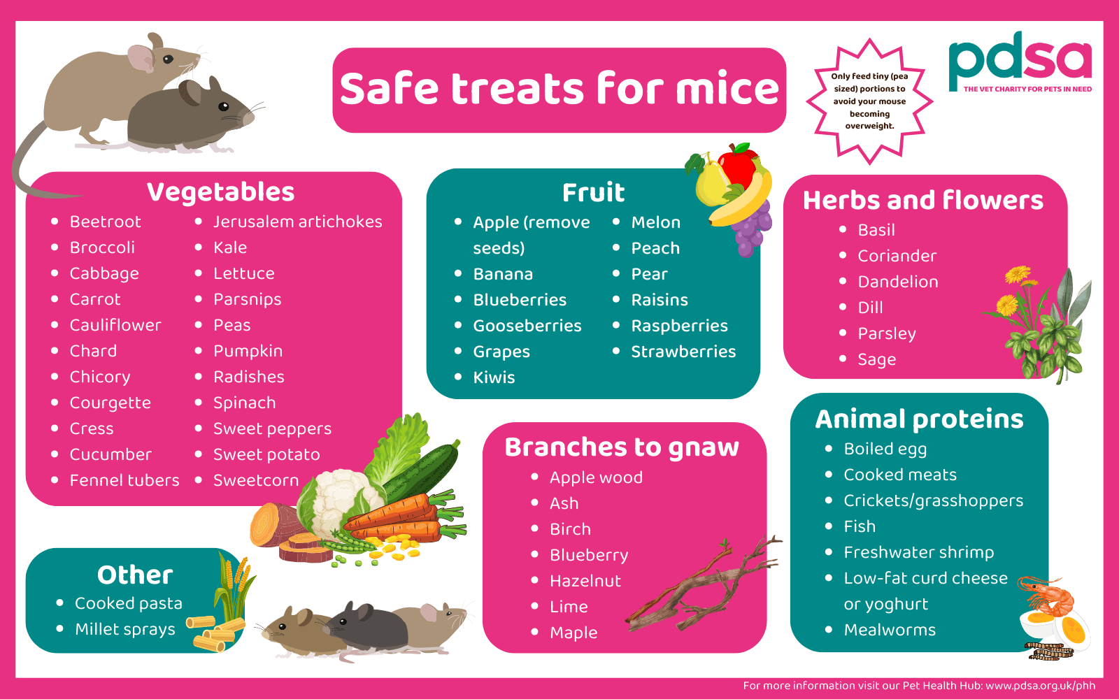 An infographic detailing all the safe treats for mice.