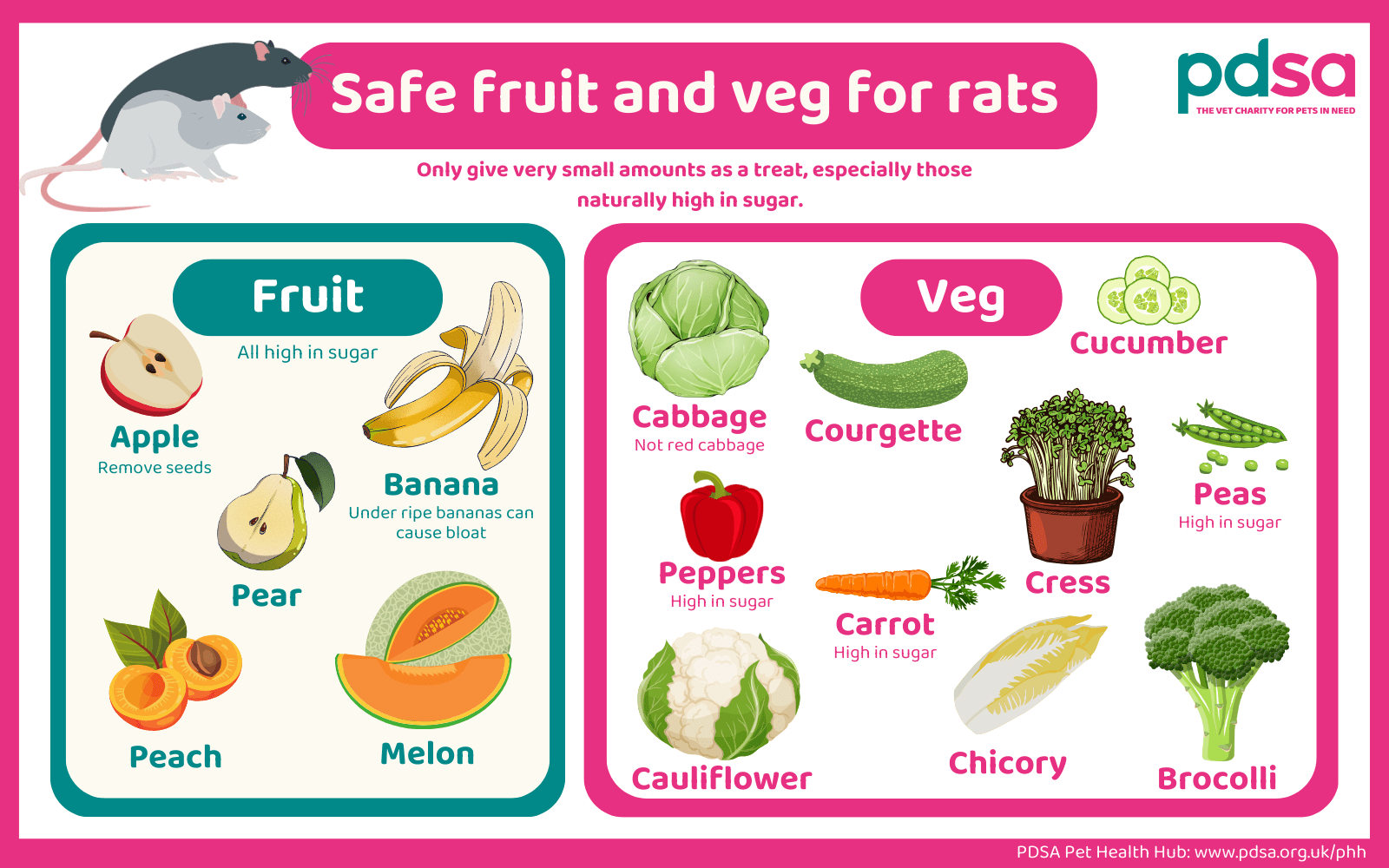 An infographic on safe fruit and vegetables for rats.