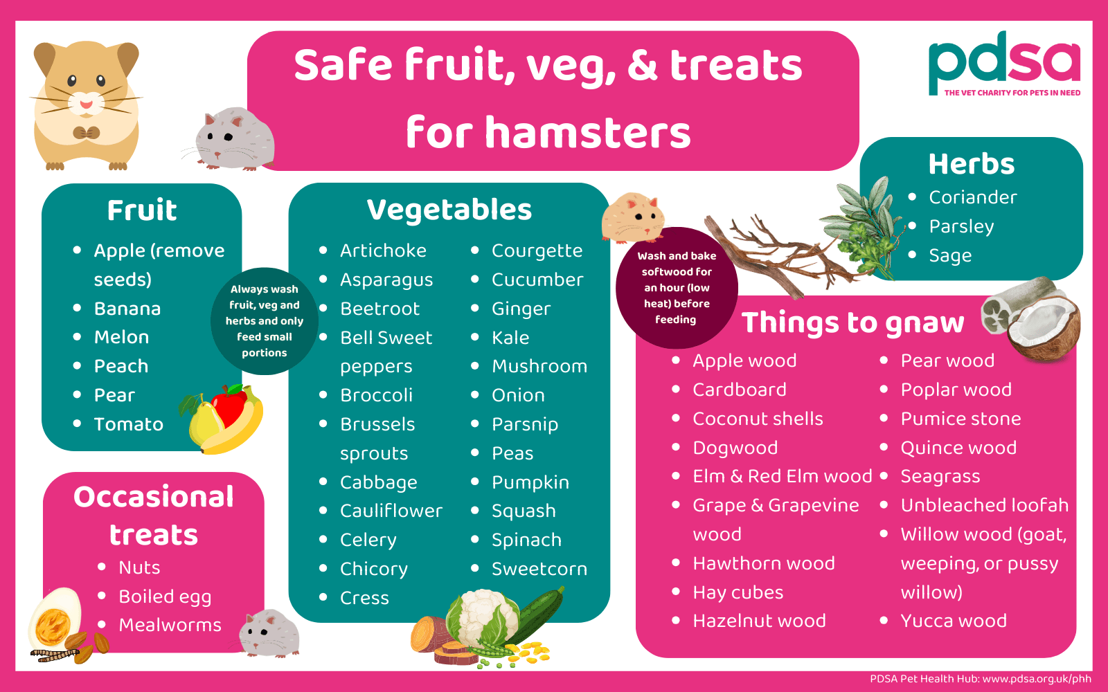  A colourful infographic detailing safe fruit, vegetables and treats for hamsters.