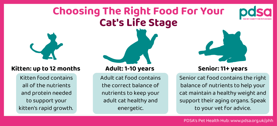 An infographic called ‘Choosing the right food for your cat’s life stage’ with three different life stages with kitten, adult and senior.