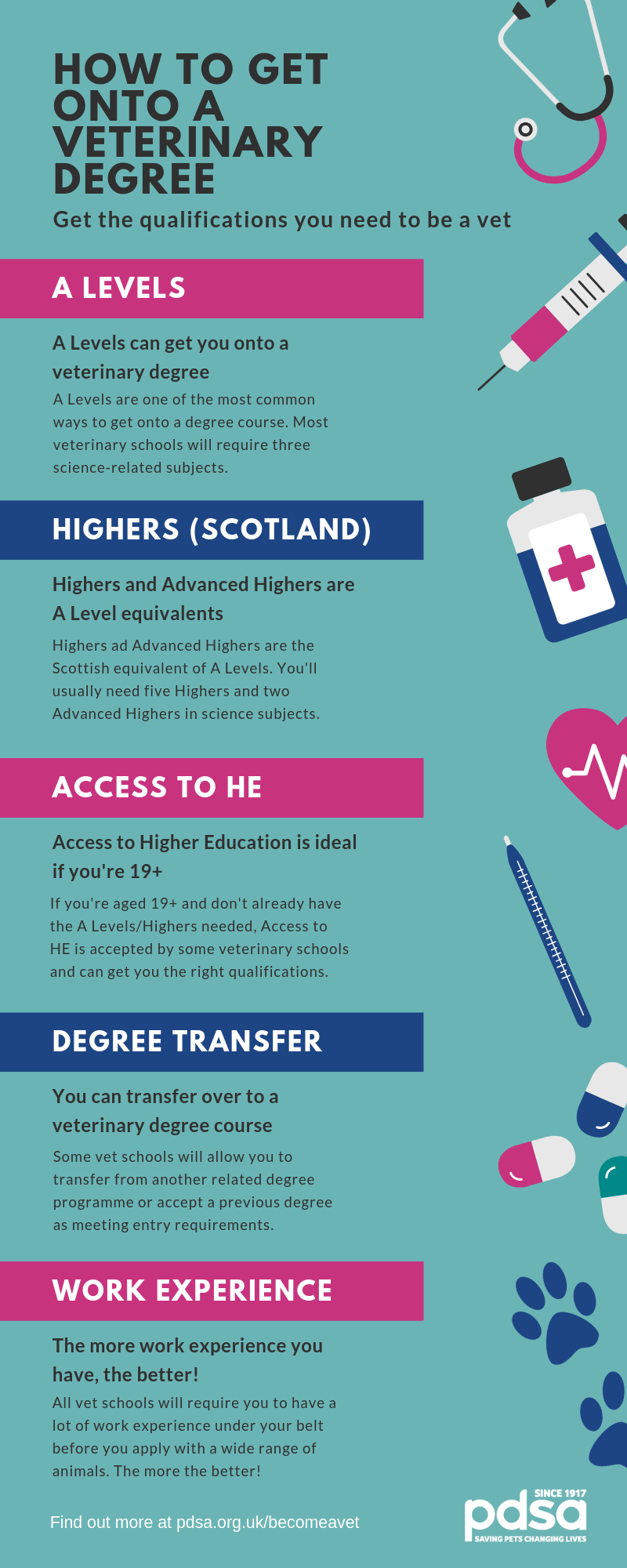 How To Become A Vet PDSA