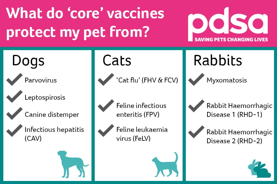 cat booster vaccinations uk