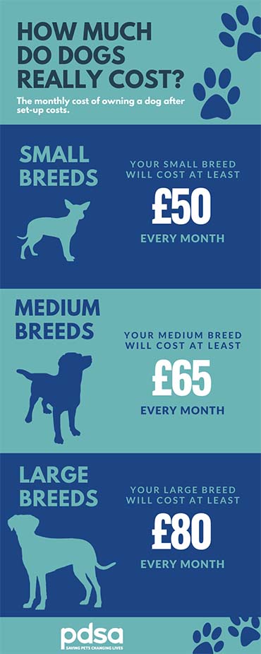 how much does cost to have a dog put down