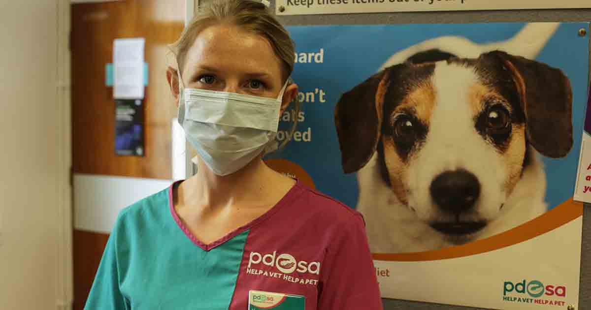 Pdsa animal hot sale hospital