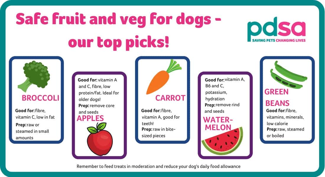 are cooked vegetables good for dogs